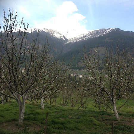 Akash Hills Hotel Manali  Luaran gambar