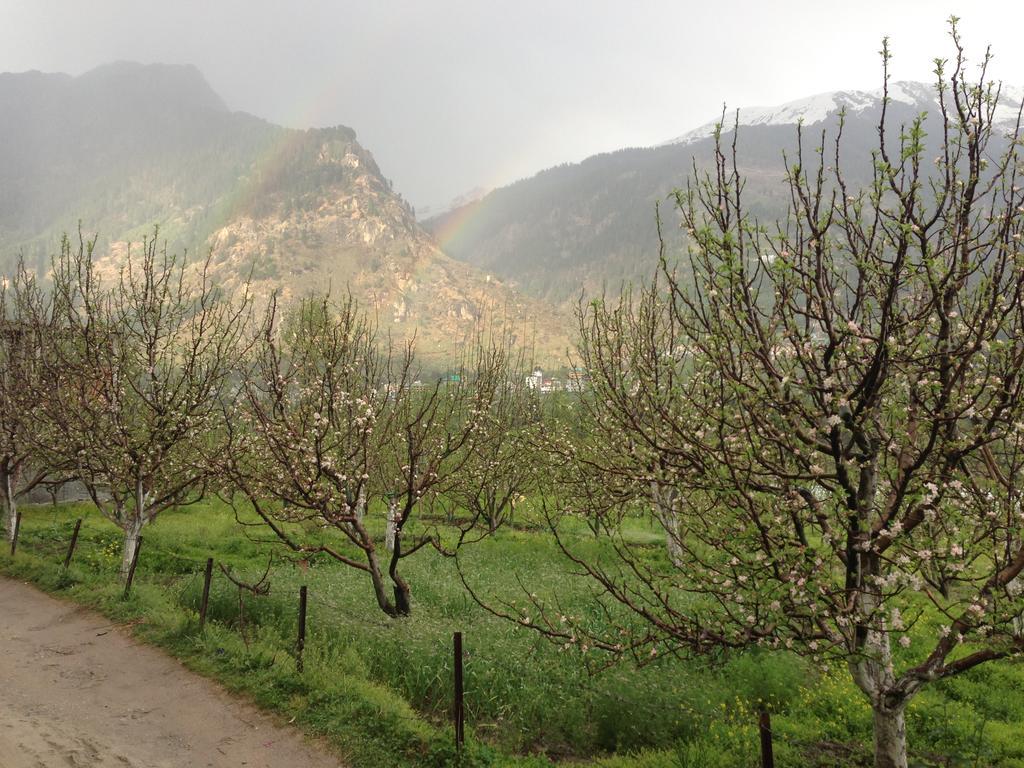 Akash Hills Hotel Manali  Luaran gambar