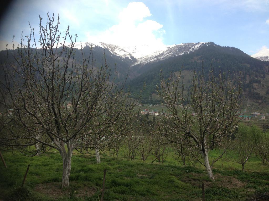 Akash Hills Hotel Manali  Luaran gambar